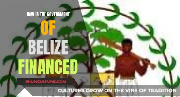 Belize's Government Funding: Sources and Sustainability