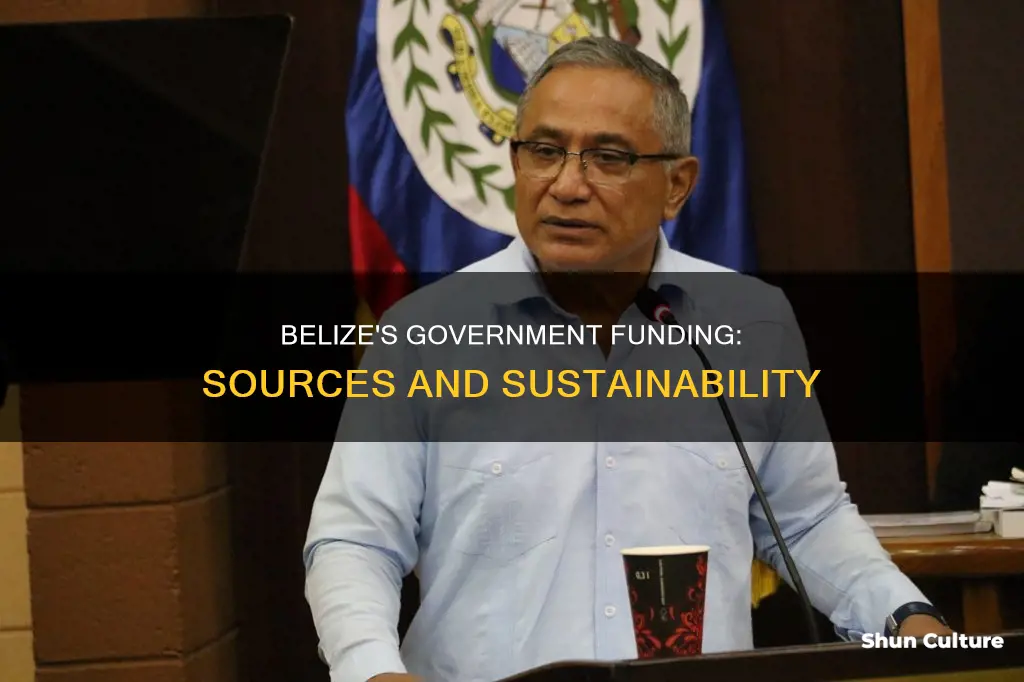 how is the government of belize financed