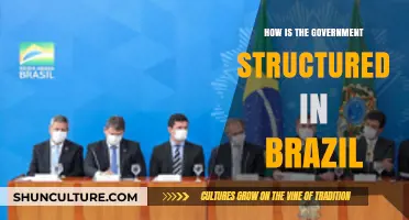 Understanding Brazil's Government Structure: A Comprehensive Guide to Its System