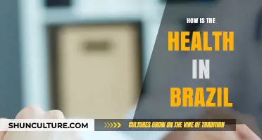 Exploring Brazil's Health Landscape: Challenges, Progress, and Future Outlook