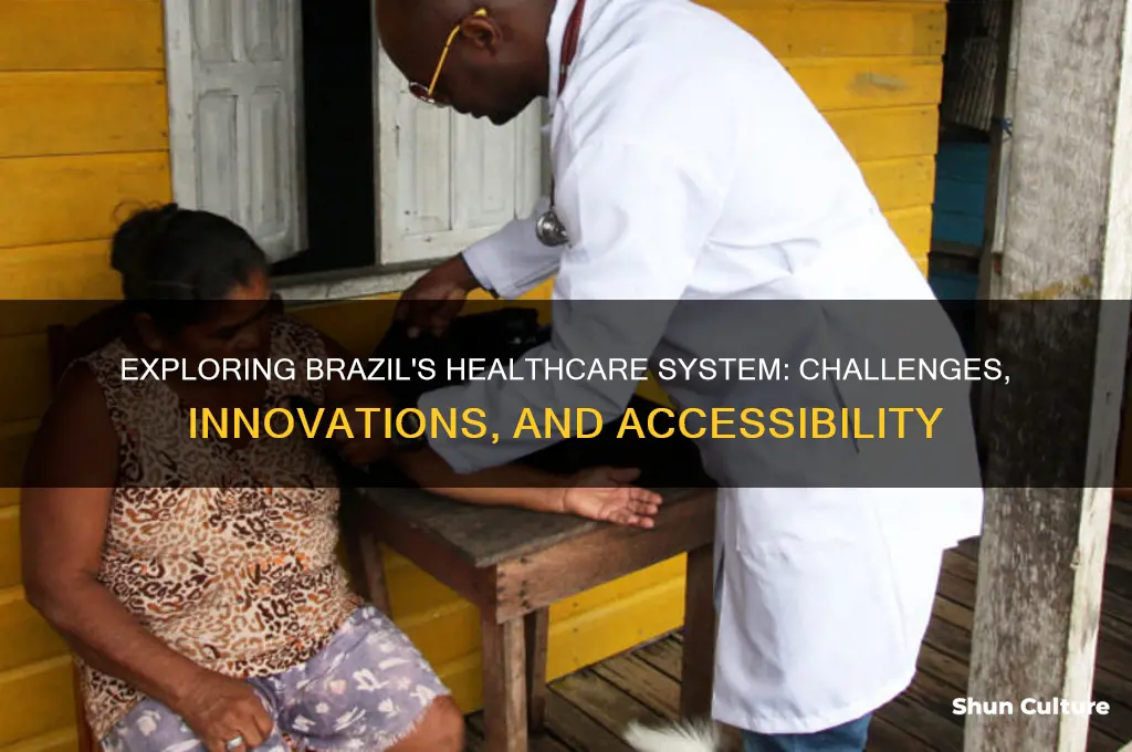 how is the healthcare system in brazil