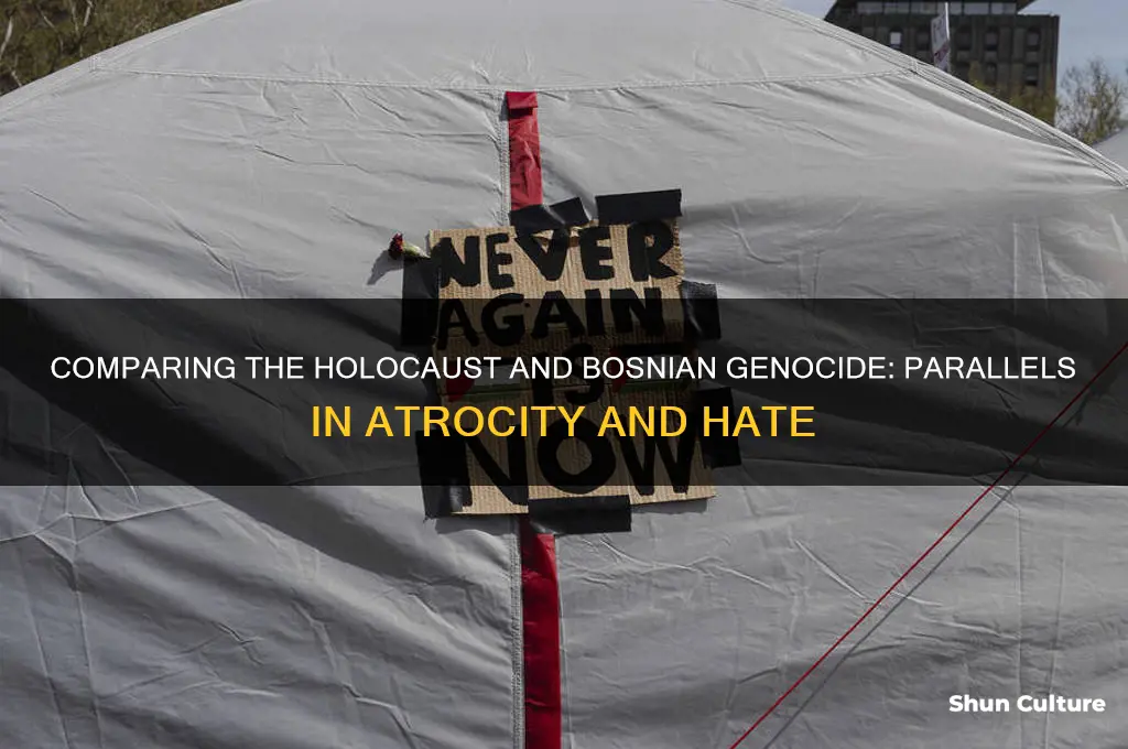 how is the holocast similar to the bosnian genocide