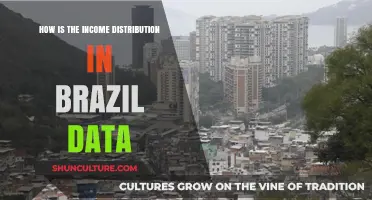 Brazil's Income Inequality: Analyzing Distribution Trends and Economic Disparities