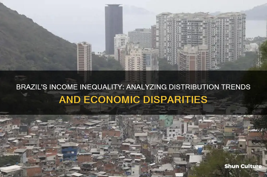 how is the income distribution in brazil data
