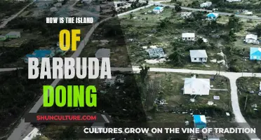 Barbuda's Recovery: A Resilient Island's Journey and Future