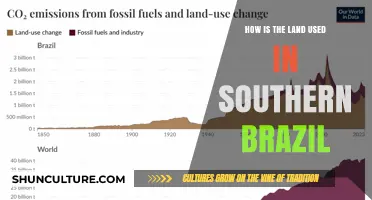 Exploring Southern Brazil's Land Use: Agriculture, Conservation, and Urbanization