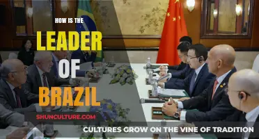 Brazil's Leadership: Understanding the Role and Impact of the President