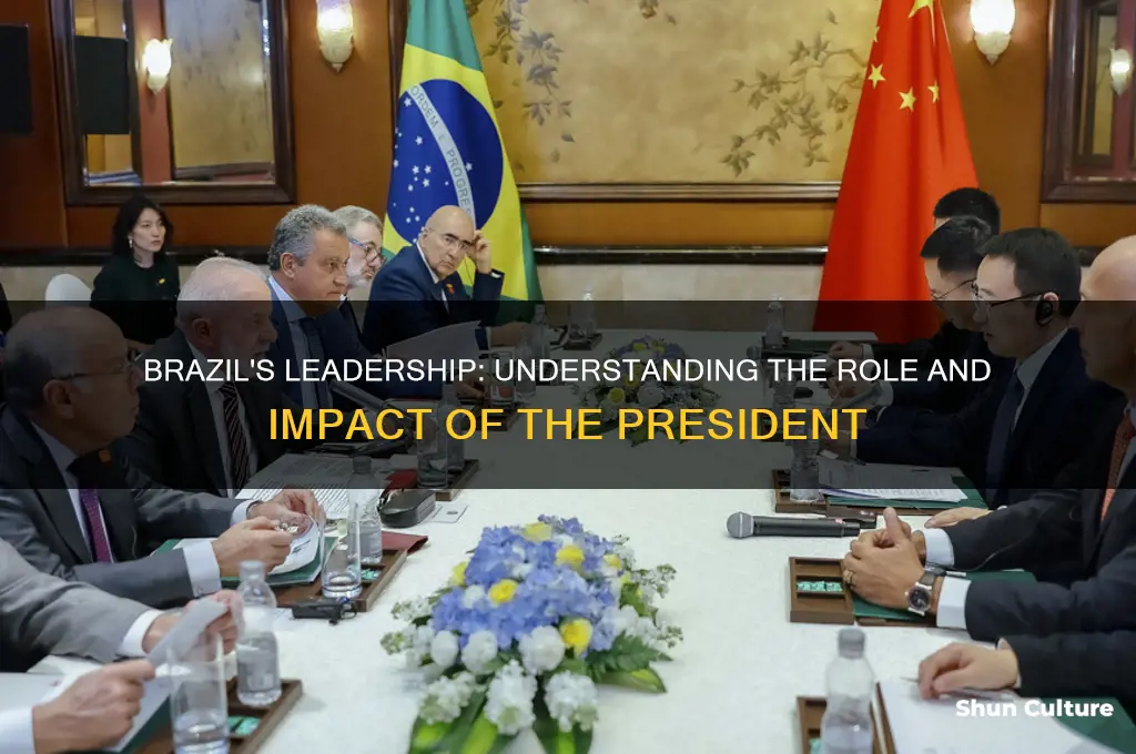how is the leader of brazil