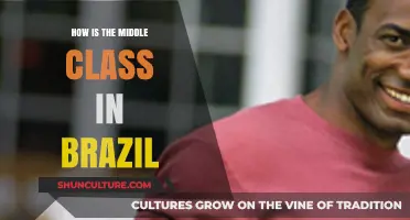 Brazil's Middle Class: Struggles, Resilience, and Economic Realities Explored