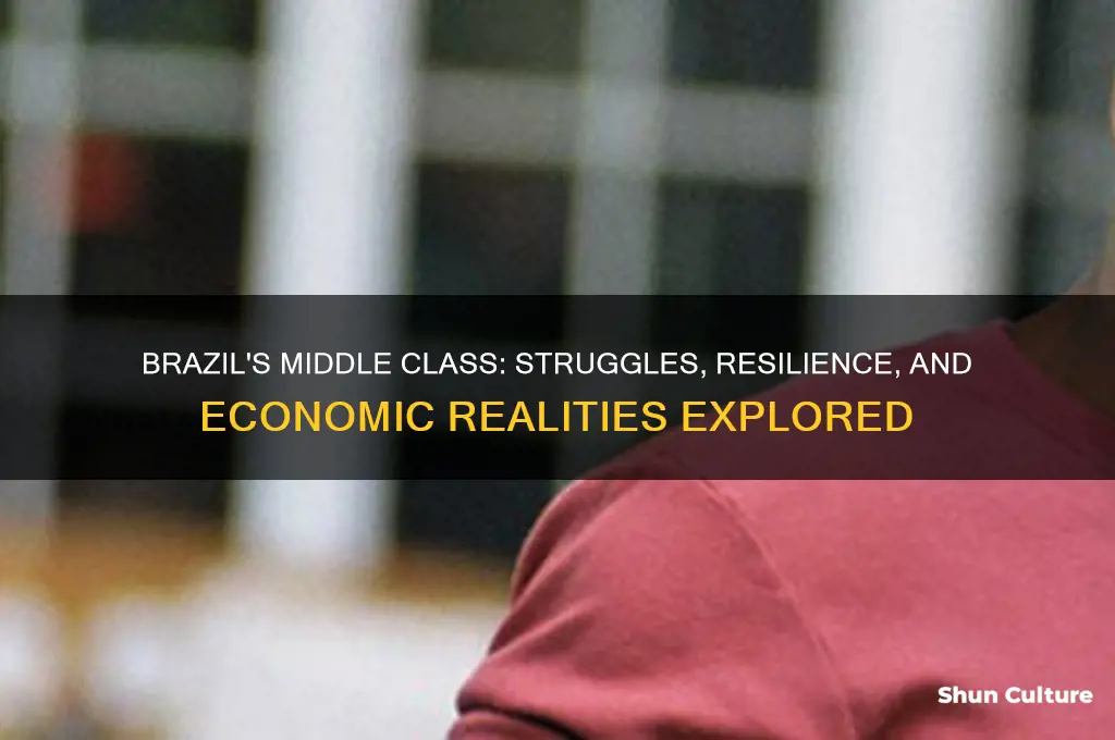 how is the middle class in brazil