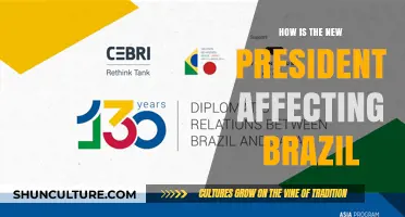 Brazil's New President: Impact on Economy, Politics, and Society