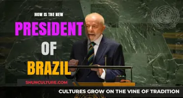 Brazil's New President: Leadership, Policies, and Future Prospects