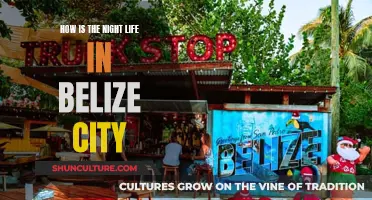 Belize City After Dark: A Nightlife Guide