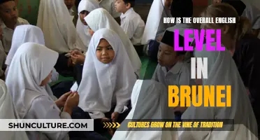 English Proficiency in Brunei: A Comprehensive Overview