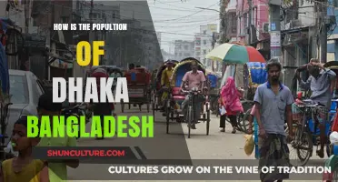 Dhaka's Population Boom: Challenges and Growth in Bangladesh's Capital