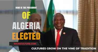 Understanding Algeria's Presidential Election Process: A Comprehensive Guide