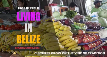 The Cost of Paradise: Navigating the Price of Living in Belize