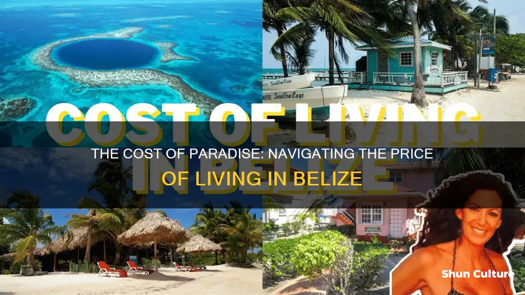 how is the price of living in belize