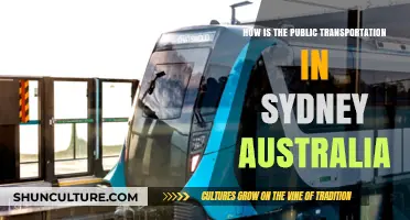 Exploring Sydney's Public Transport: Efficiency, Accessibility, and Commuter Experience