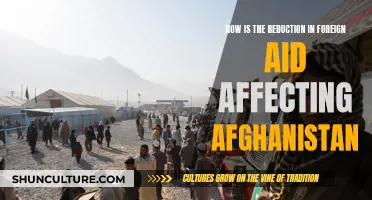 The Impact of Diminishing Foreign Aid on Afghanistan's Future