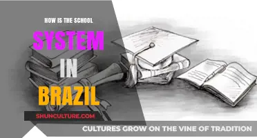 Exploring Brazil's School System: Structure, Challenges, and Opportunities