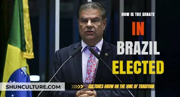 Understanding Brazil's Senate Elections: Process, Representation, and Voter Influence