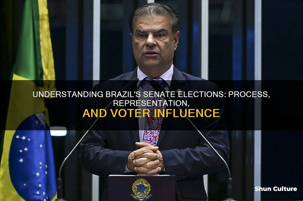 how is the senate in brazil elected