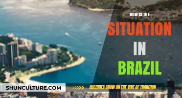 Brazil Today: Economy, Politics, and Social Challenges Explained