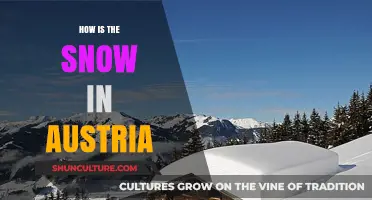 Austria's Snow: A Winter Wonderland's Tale