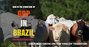 Understanding Brazil's GDP Structure: Key Sectors and Economic Drivers