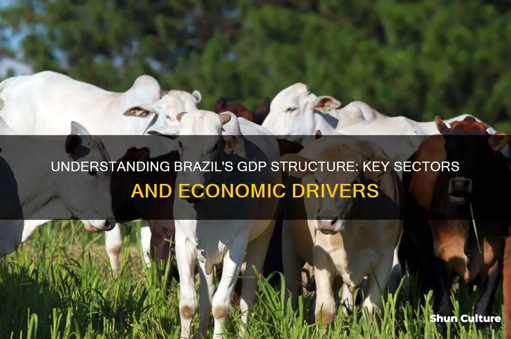 how is the structure of gdp in brazil