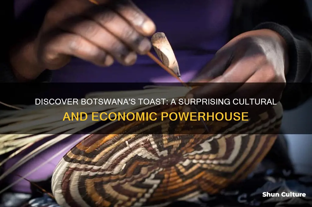 how is the toast of botswana helpful