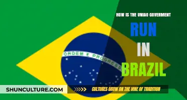 Understanding Brazil's União Government: Structure, Functions, and Operations