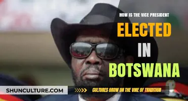 Botswana's Vice Presidential Election Process Explained: A Comprehensive Guide