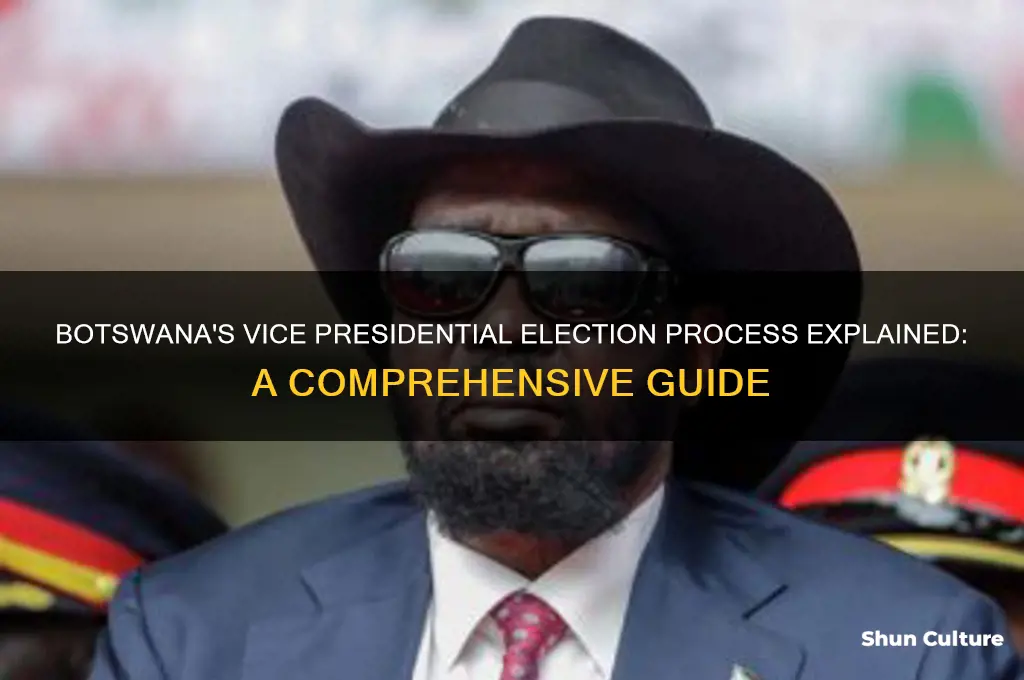 how is the vice president elected in botswana