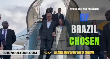 Understanding Brazil's Vice Presidential Selection Process and Electoral System