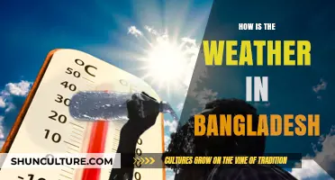 Exploring Bangladesh's Climate: Weather Patterns and Seasonal Variations