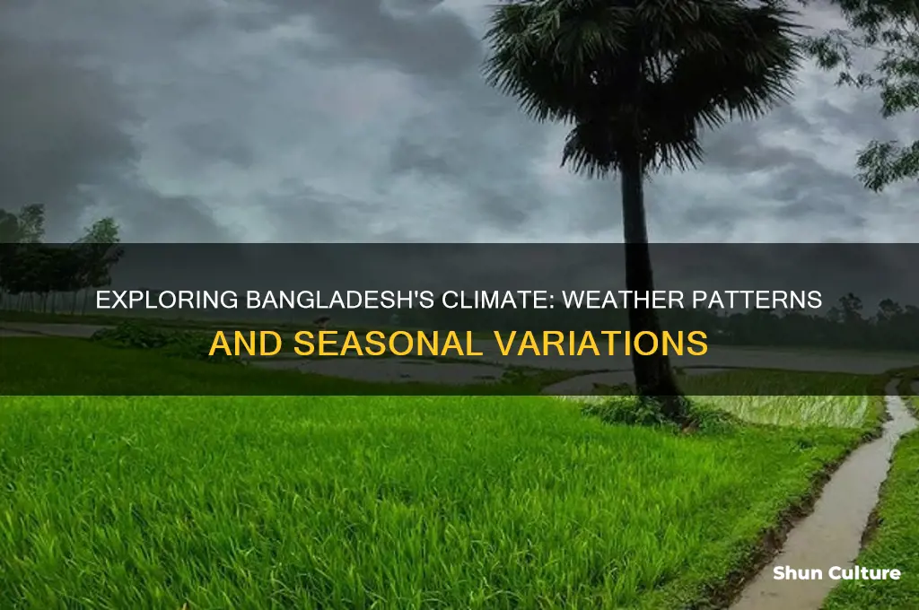 how is the weather in bangladesh
