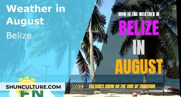 Belize's August Weather: A Tropical Paradise's Rainy Season