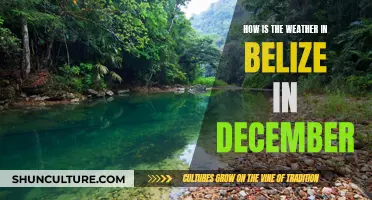 Belize's December Weather: Sunny Days and Festive Nights