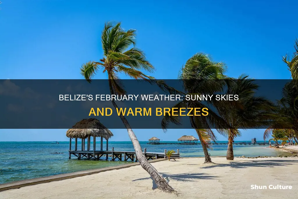 how is the weather in belize in February