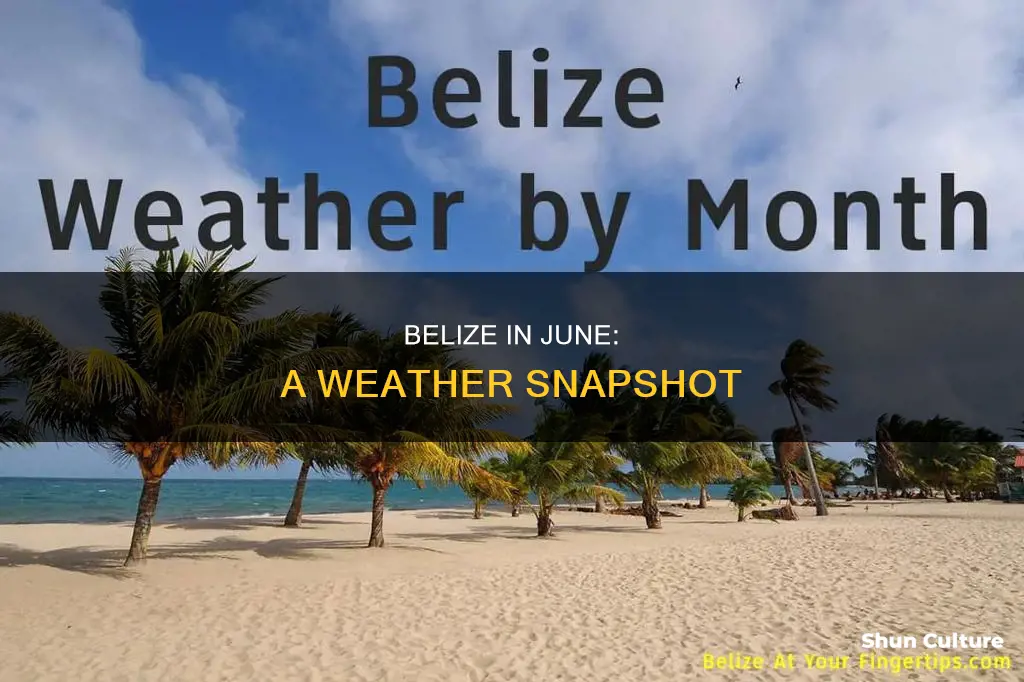 how is the weather in belize in june