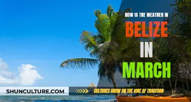 Belize in March: A Weather Preview