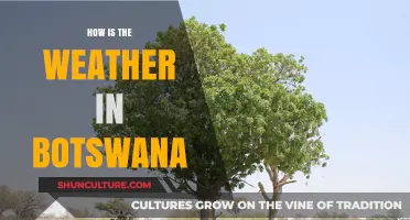 Exploring Botswana's Climate: Weather Patterns and Seasonal Changes Revealed