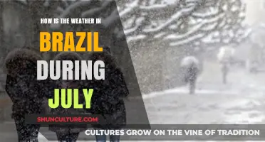 July Weather in Brazil: Temperatures, Rainfall, and Regional Variations