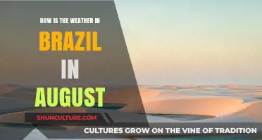 August Weather in Brazil: What to Expect and How to Prepare