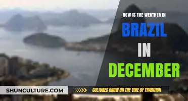 December Weather in Brazil: What to Expect During the Summer Season