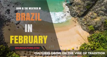 February Weather in Brazil: What to Expect During Summer