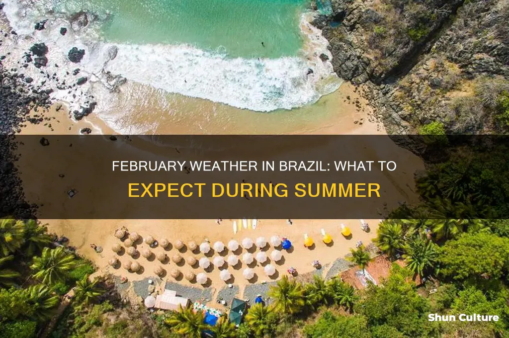 how is the weather in brazil in February