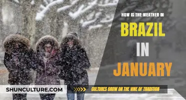 Brazil's January Weather: What to Expect in Summer